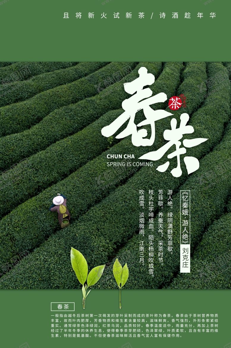 编号：17601209282050407431【酷图网】源文件下载-茶叶海报新茶上市创意海报