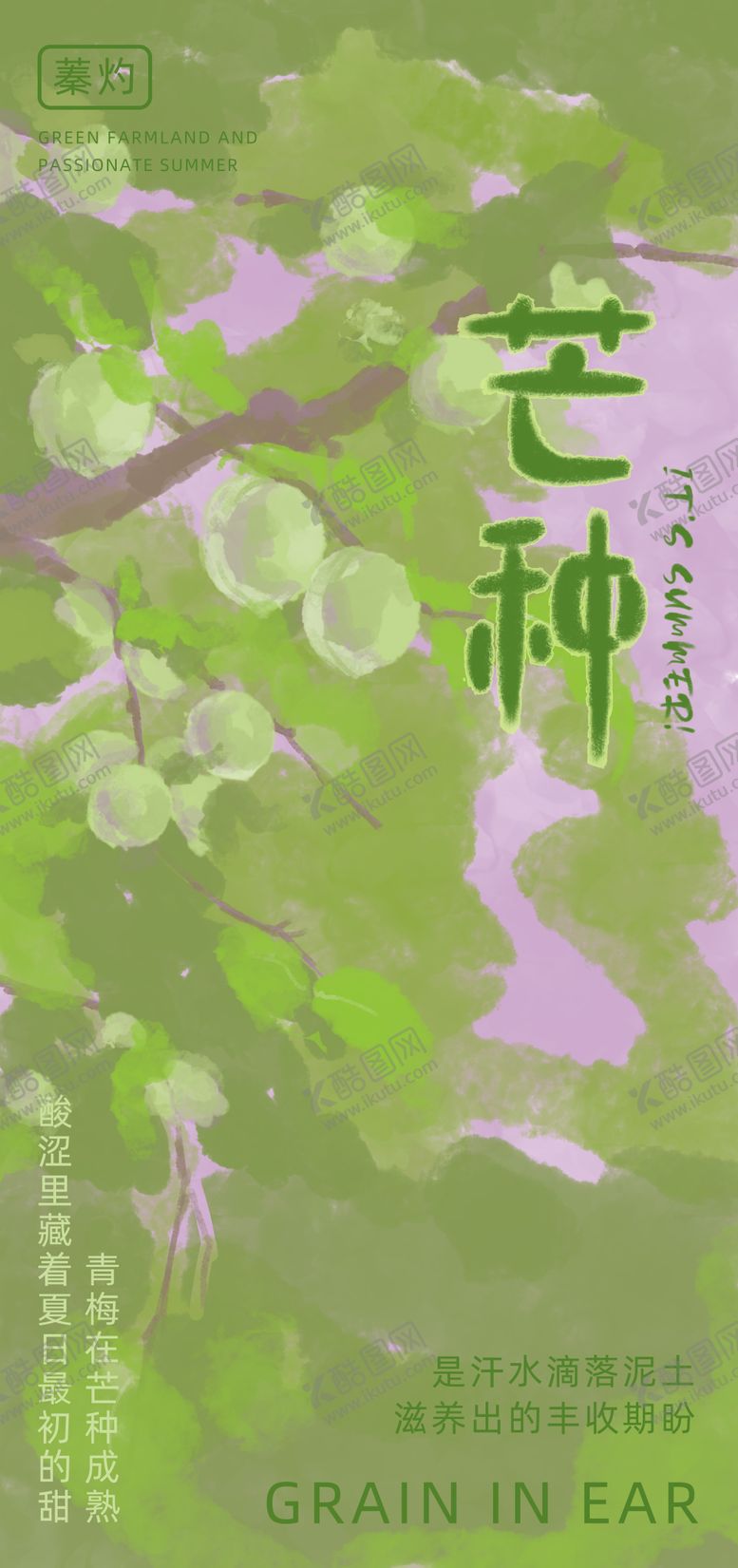 编号：26766506151647404729【酷图网】源文件下载-芒种节气海报