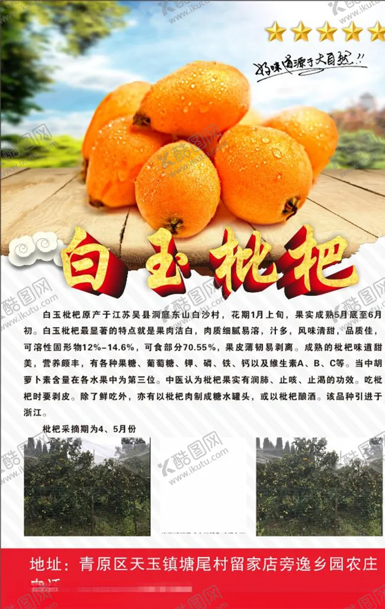 编号：77542704060920296867【酷图网】源文件下载-白玉枇杷