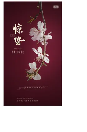 惊蛰海报APP启动页二十四节气24节气