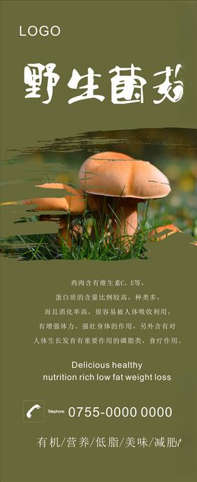 菌菇展架