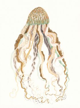 海洋生物系列水母