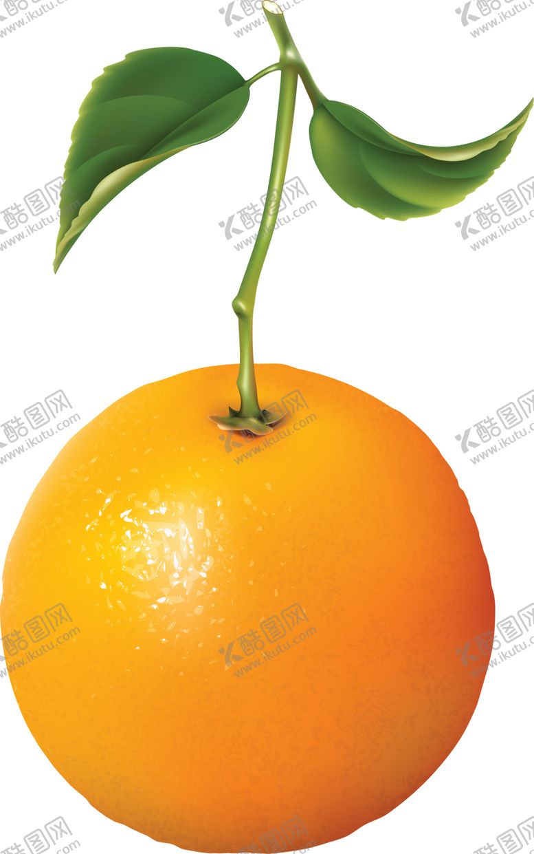 编号：97066206280203087117【酷图网】源文件下载-橙子