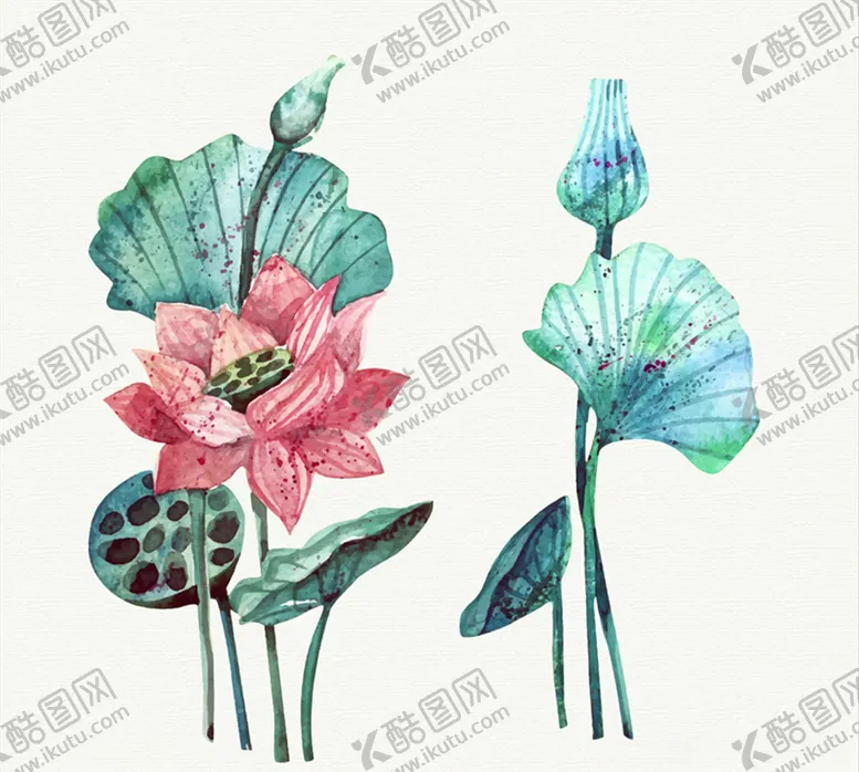 编号：37566207021134231189【酷图网】源文件下载-手绘彩绘荷花