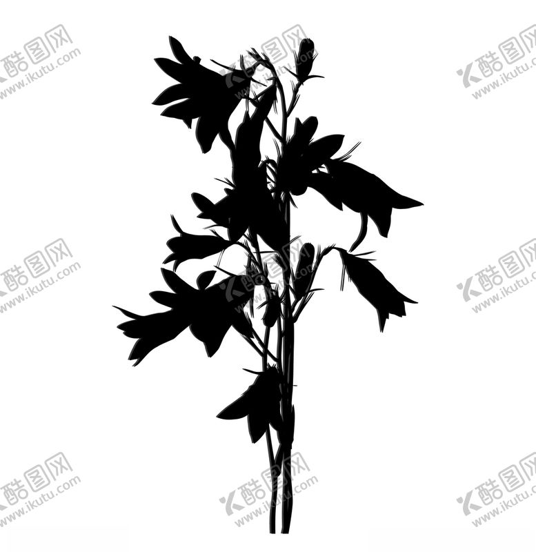 编号：32299510261843488336【酷图网】源文件下载-花朵