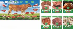 牛肉分割图展板