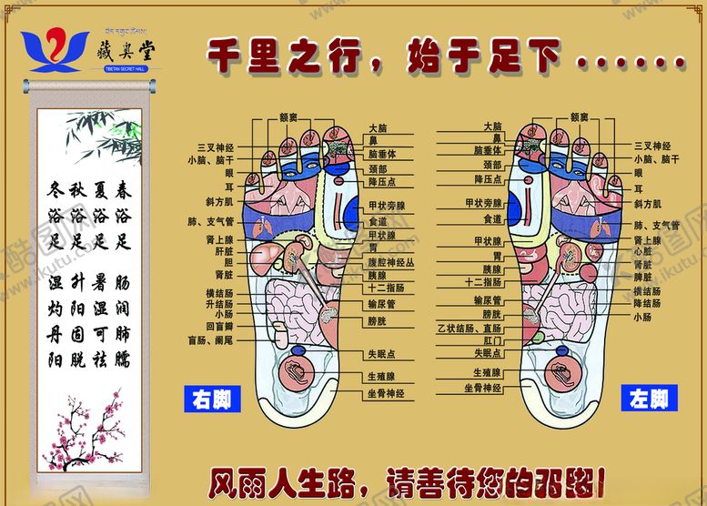 编号：90659709212108479889【酷图网】源文件下载-养生足道
