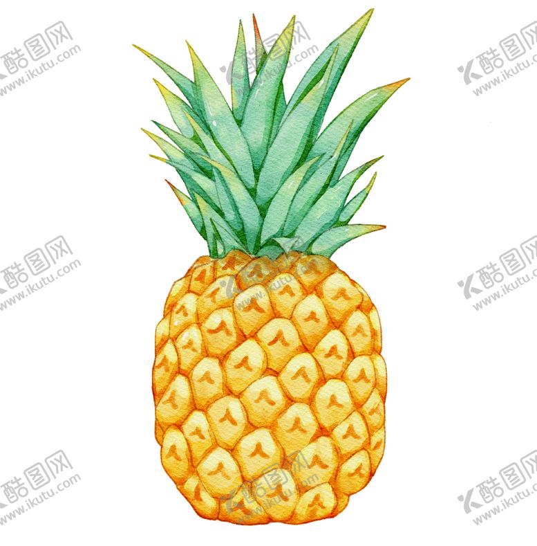 编号：83270110060057198269【酷图网】源文件下载-手绘卡通菠萝素材 