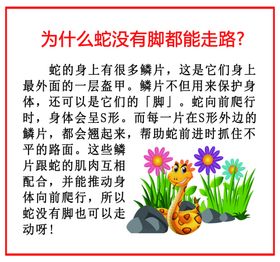 小学生科普 十万个为什么