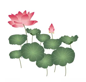 荷花莲水彩莲子叶