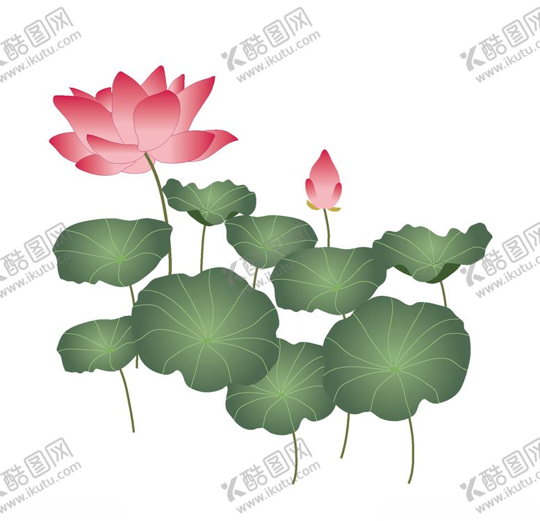 编号：62743703131149497821【酷图网】源文件下载-荷花