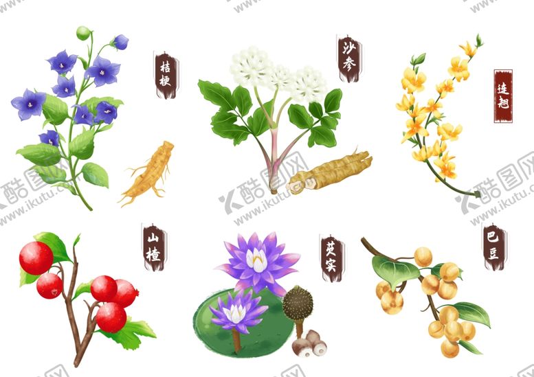 编号：90130101251626037810【酷图网】源文件下载-中药手绘