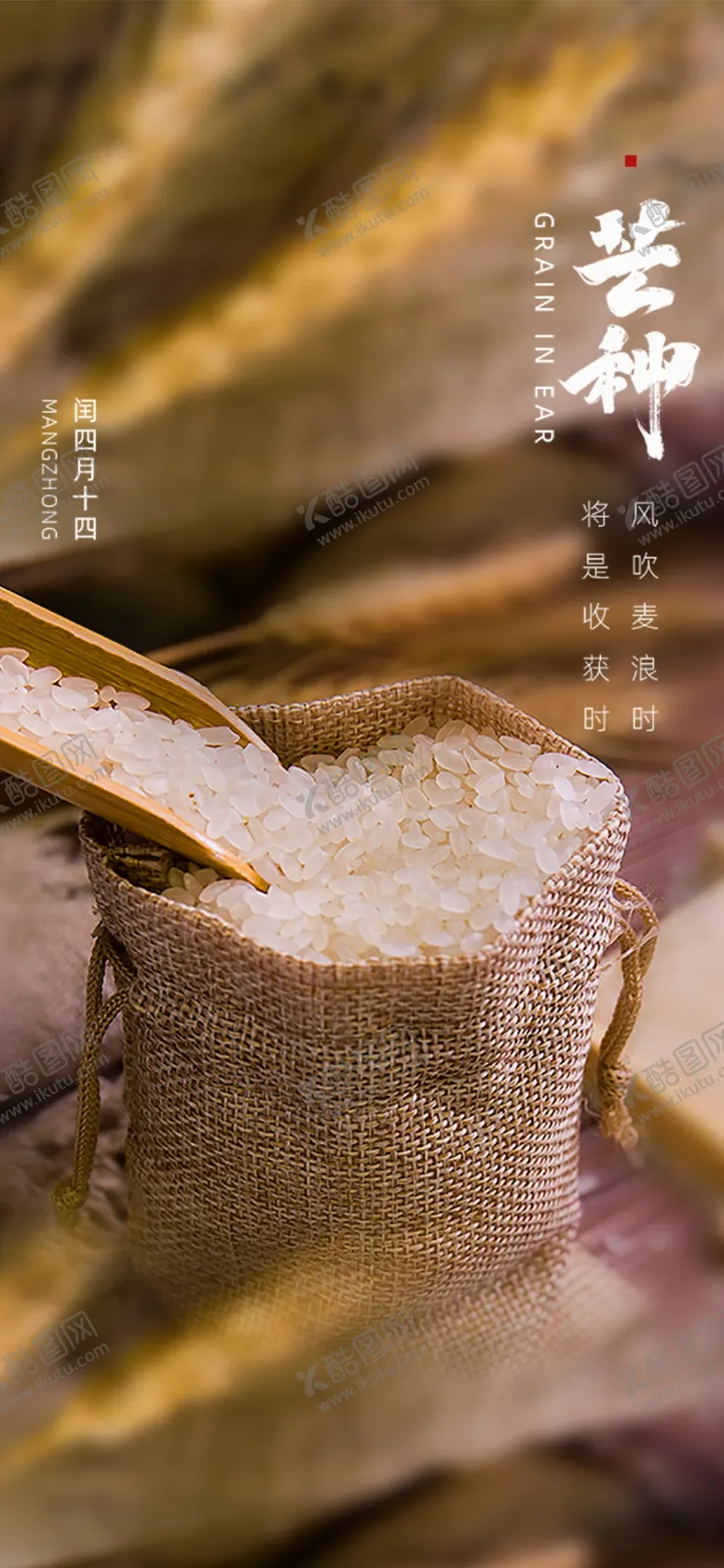 编号：41356010071929025042【酷图网】源文件下载-芒种节气海报