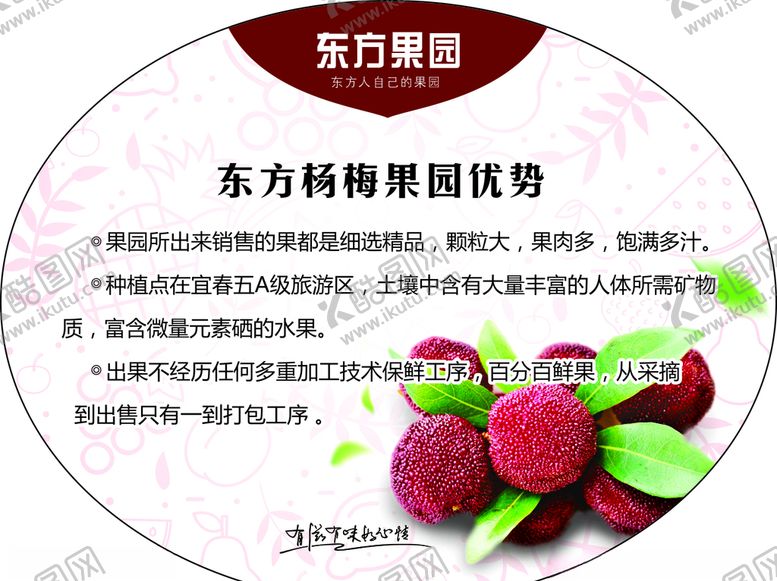 编号：31018110011932054381【酷图网】源文件下载-杨梅采摘异形