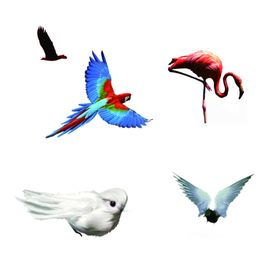 鸟类