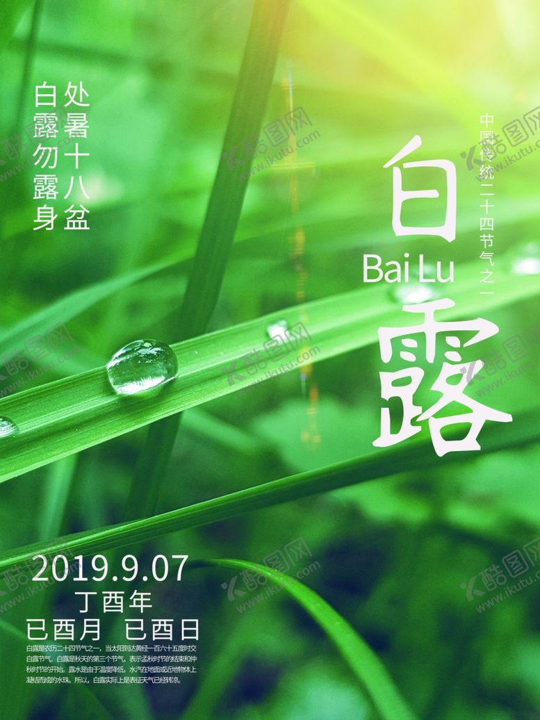 编号：23370807022057121041【酷图网】源文件下载-白露海报