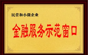 金融示范窗口