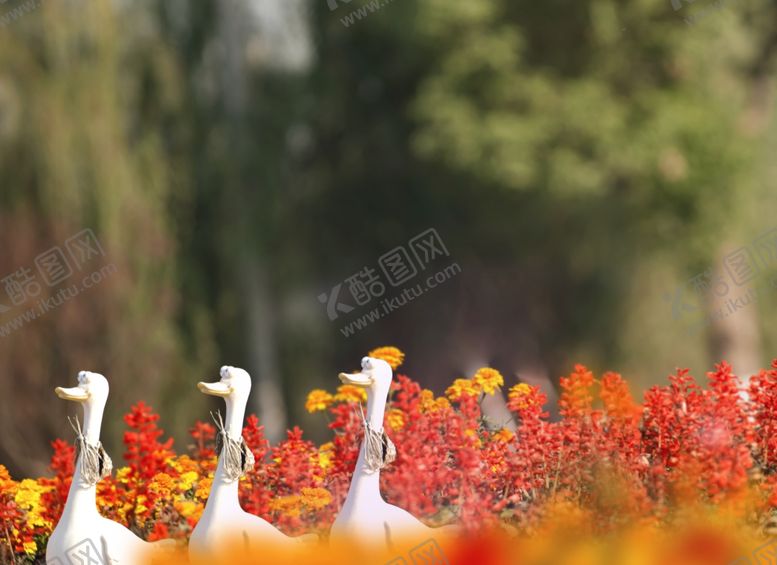 编号：43558309211015433960【酷图网】源文件下载-摄影背景墙