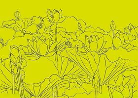 荷花池