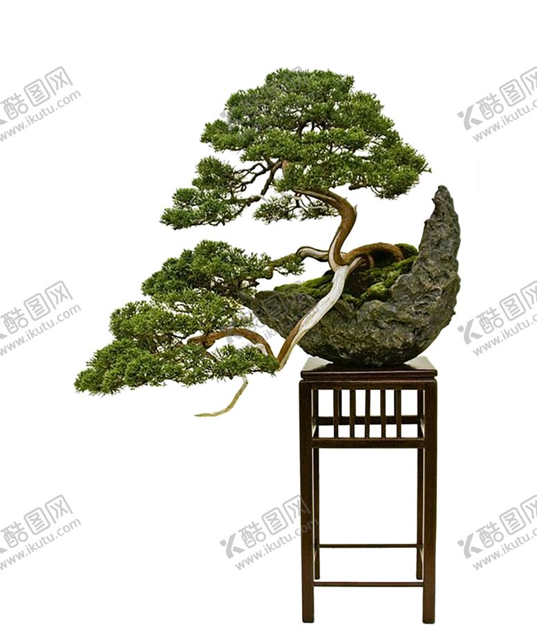 编号：32301310162303292488【酷图网】源文件下载-花艺