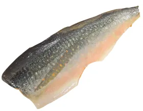 三文鱼png生鲜食品食物