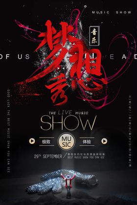 音乐节  色彩丰富梦想秀