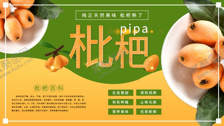 编号：94260111270207294171【酷图网】源文件下载-枇杷