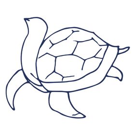 手绘海洋生物