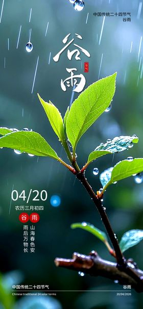 谷雨海报二十四节气海报春天海报