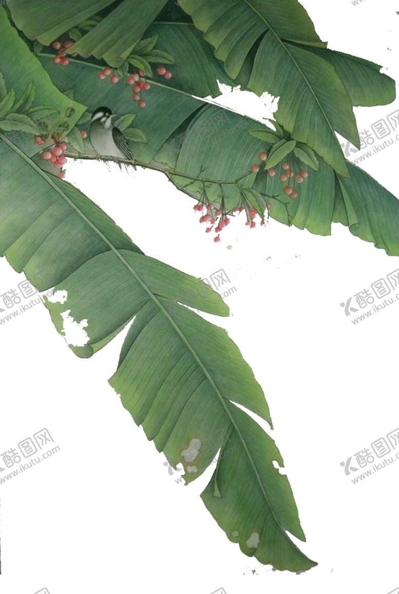 编号：60604010051701049562【酷图网】源文件下载-古风国风工笔画花免抠素材