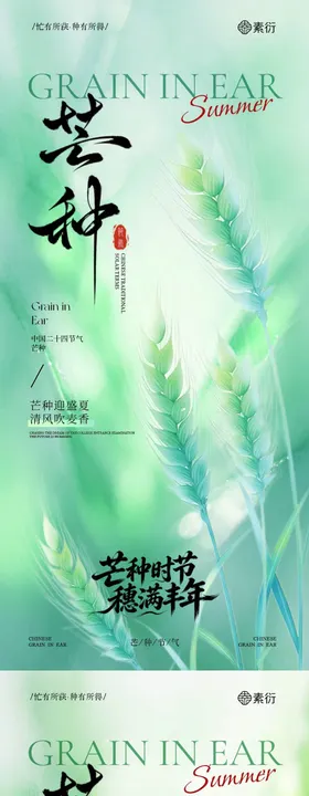 芒种节气简约水彩插画海报