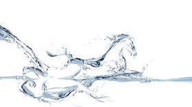 水花素材