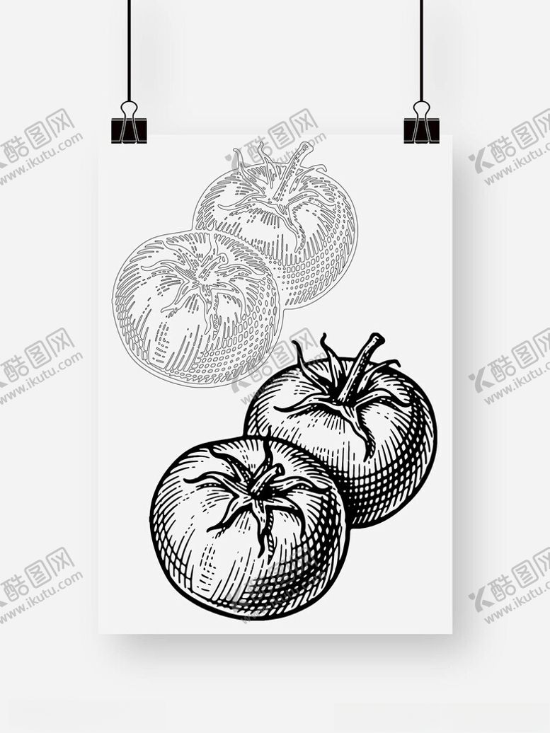 编号：15059209261952396026【酷图网】源文件下载-西红柿