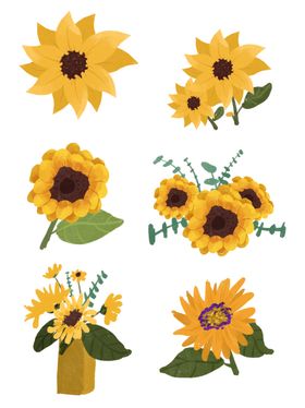 春天花束向日葵鲜花