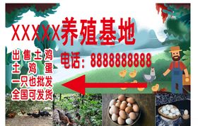 指示牌指路牌