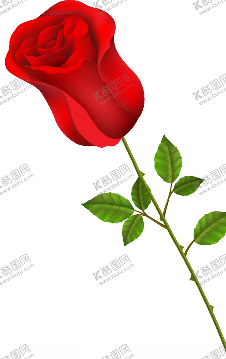 编号：34967704160846574220【酷图网】源文件下载-玫瑰