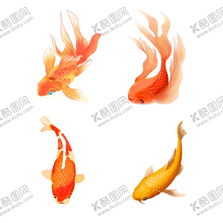 编号：61158610150857259411【酷图网】源文件下载-锦鲤