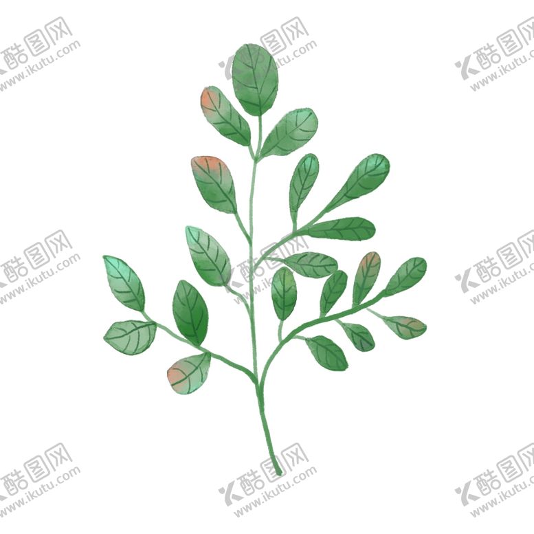 编号：25673310131659456964【酷图网】源文件下载-树叶