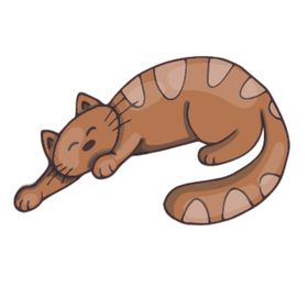 卡通动物猫咪图案