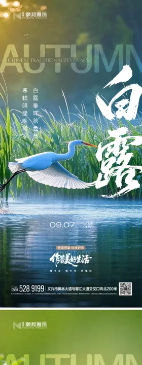 2025白露二十四节气节日海报