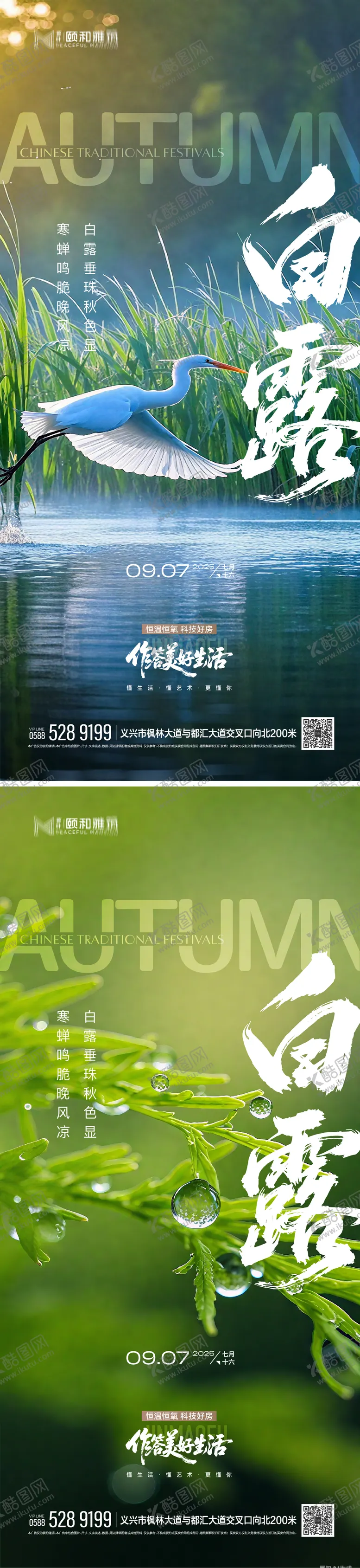 编号：47439709041030091434【酷图网】源文件下载-2025白露二十四节气节日海报