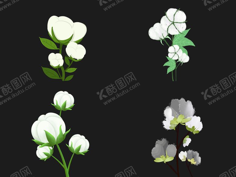 编号：83425110010402037438【酷图网】源文件下载-棉花