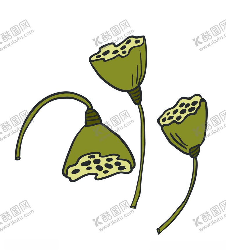 编号：62017010191702378502【酷图网】源文件下载-莲蓬