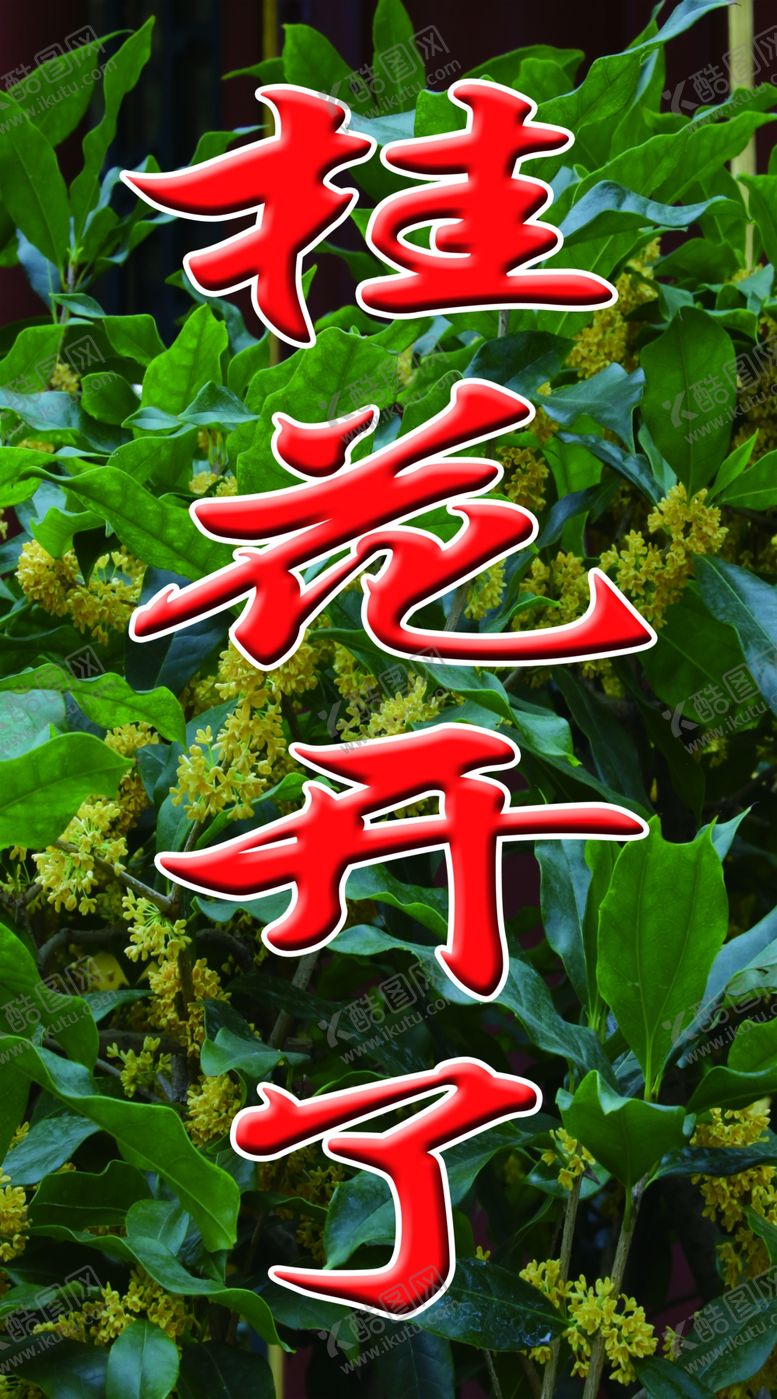 编号：24518510210236174906【酷图网】源文件下载-桂花