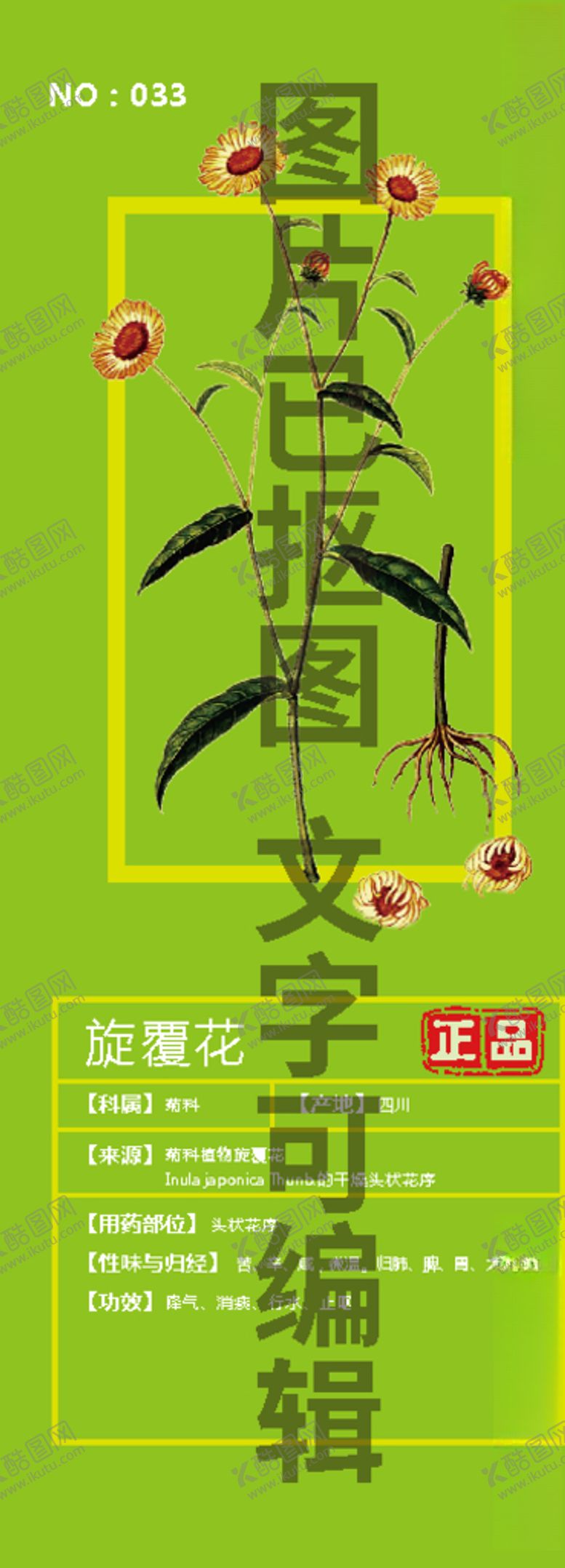 编号：34056504111840398970【酷图网】源文件下载-旋覆花