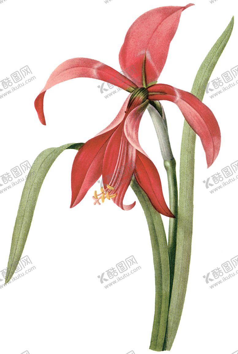 编号：21779307041411332465【酷图网】源文件下载-植物花卉油画装饰画