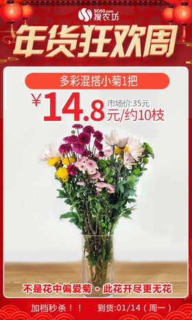 年货狂欢周多彩混搭小菊1把