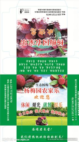 绿色杨梅园农家乐