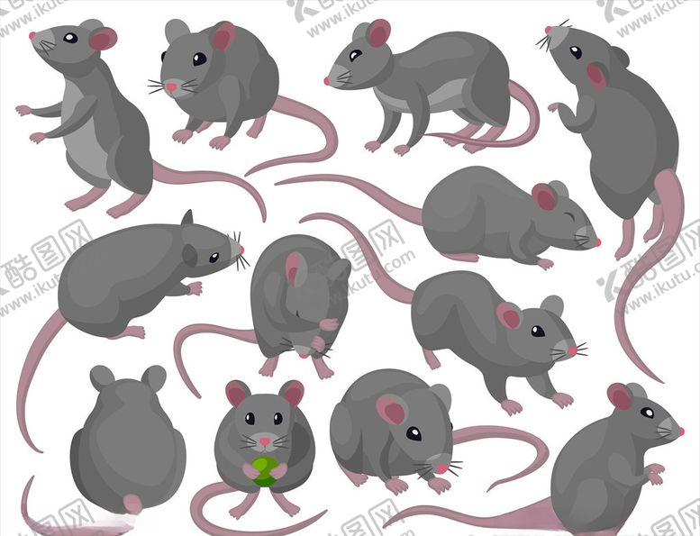 编号：50760109190511468517【酷图网】源文件下载-卡通老鼠