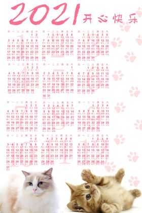 猫日历